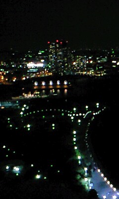 Night view