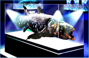 coelacanth