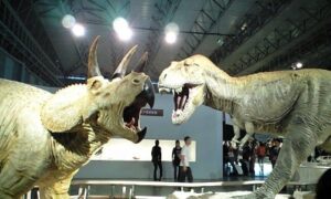 ティラノサウルスvsトリケラトプス