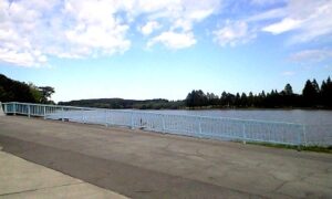 公園の池の大橋