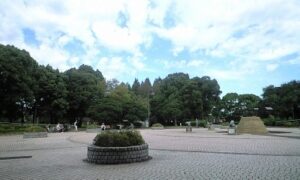 公園の中央広場