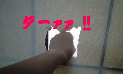 ダーぁぁ！