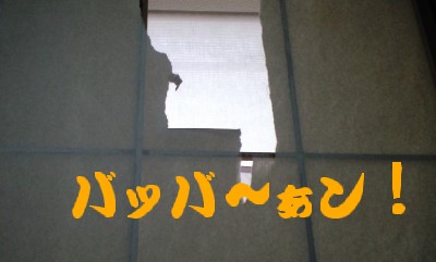 バッバ～ぁン！