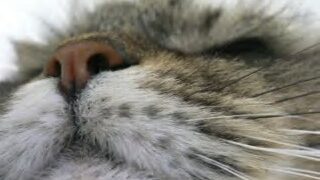 ふむふむ