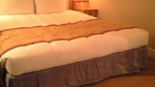 Room1237