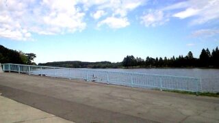 公園の池の大橋